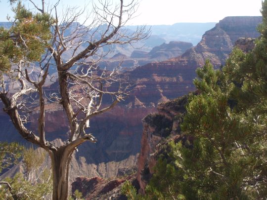 08-032 - Le Grand Canyon
